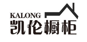 公司介绍